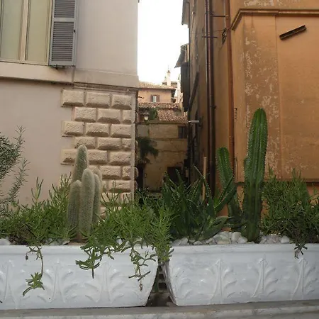 Navona Lovely Penthouse Apartamento Roma